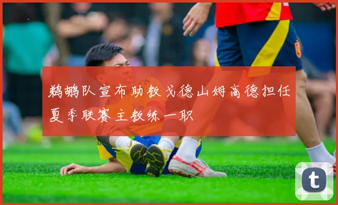 鹈鹕队宣布助教戈德山姆高德担任夏季联赛主教练一职