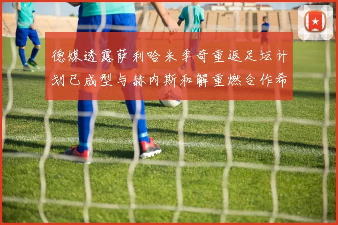 德媒透露萨利哈米季奇重返足坛计划已成型与赫内斯和解重燃合作希望
