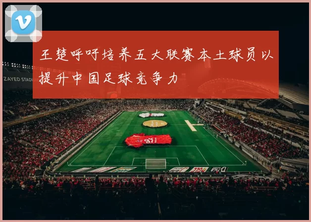 王楚呼吁培养五大联赛本土球员以提升中国足球竞争力