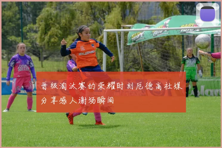 晋级淘汰赛的荣耀时刻厄德高社媒分享感人谢场瞬间
