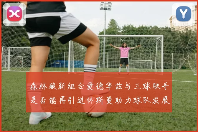 森林狼新组合爱德华兹与三球联手是否能再引进怀斯曼助力球队发展