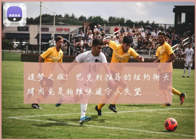 追梦之旅:巴克利推荐的纽约街头烤肉竟是狗粮味道令人失望
